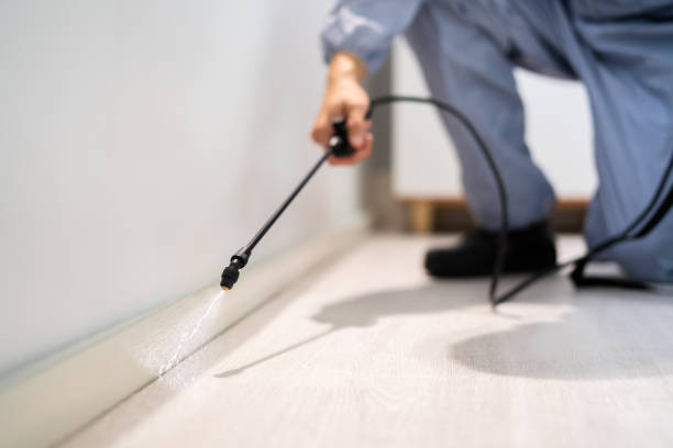 Licensed Pest Control service in Battle Creek, NE - Show Me Pest Control