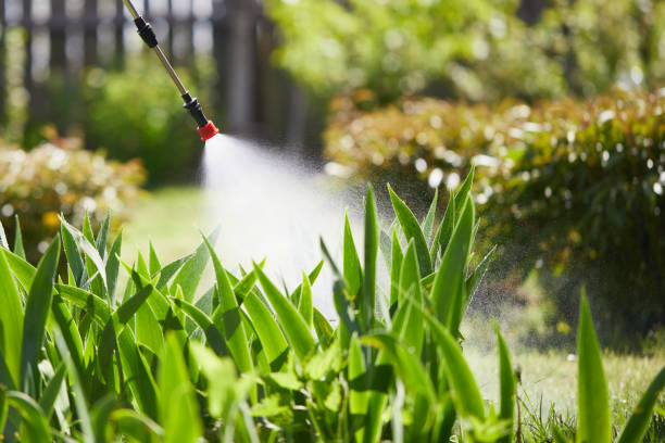 Tamper-Resistant Bait Stations for Rodents in Battle Creek