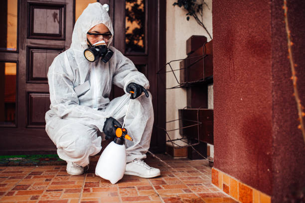 Attic and Crawl Space Rodent Treatment in Battle Creek