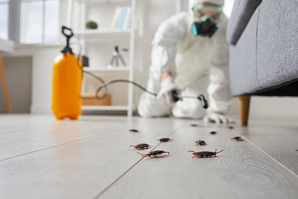 Commercial Rodent Management in Battle Creek